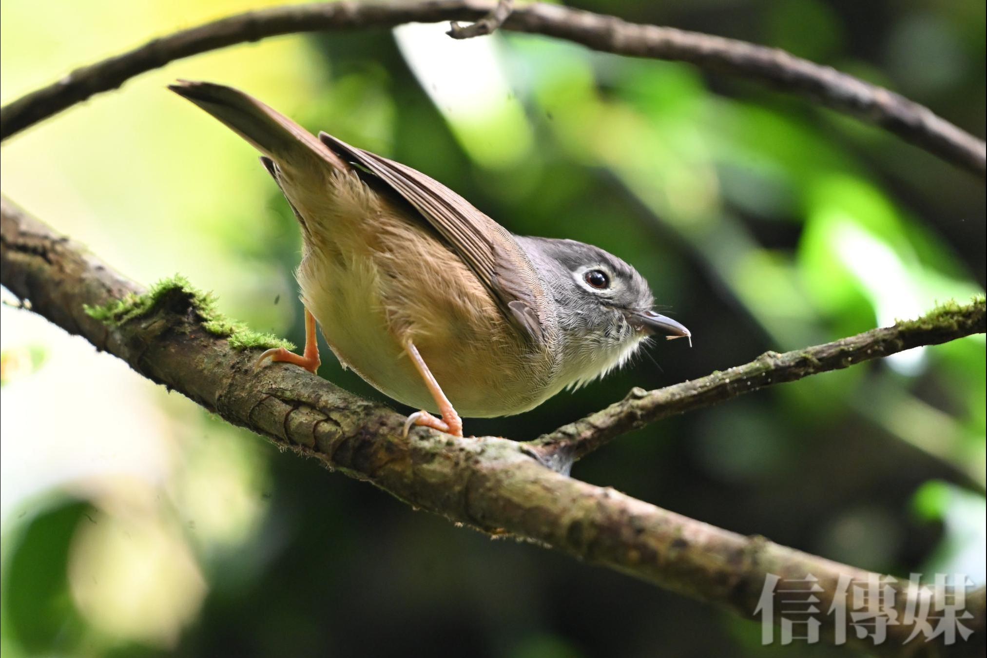 春睏、易怒、睡不好？中醫師教你立春這...