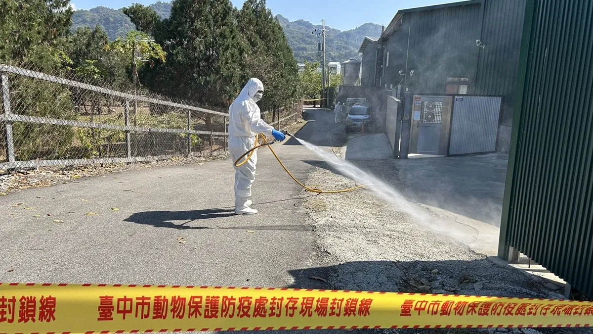 禽流感雞蛋流向曝！逾7000台斤最大...