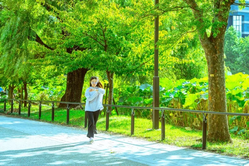 2026日本保健食品推薦：WSP精選...